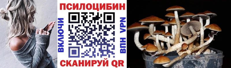 Псилоцибиновые грибы Psilocybe  закладка  ссылка на мегу маркетплейс  Курлово 